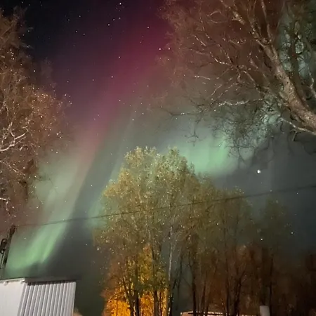 Sentral Og Romslig Leilighet Naert Senja Finnsnes Exterior photo