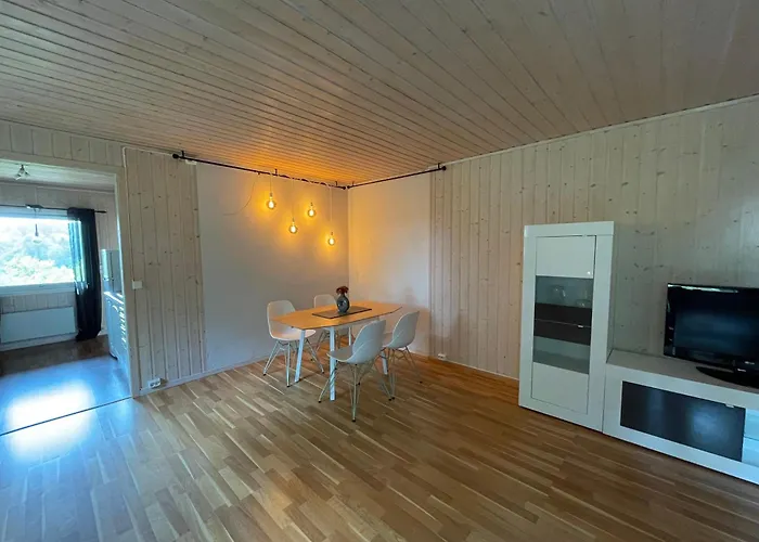 Sentral Og Romslig Leilighet Naert Senja