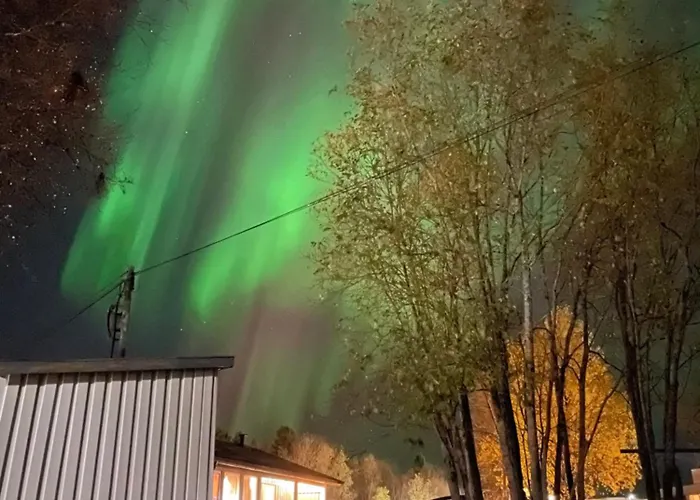 Sentral Og Romslig Leilighet Naert Senja