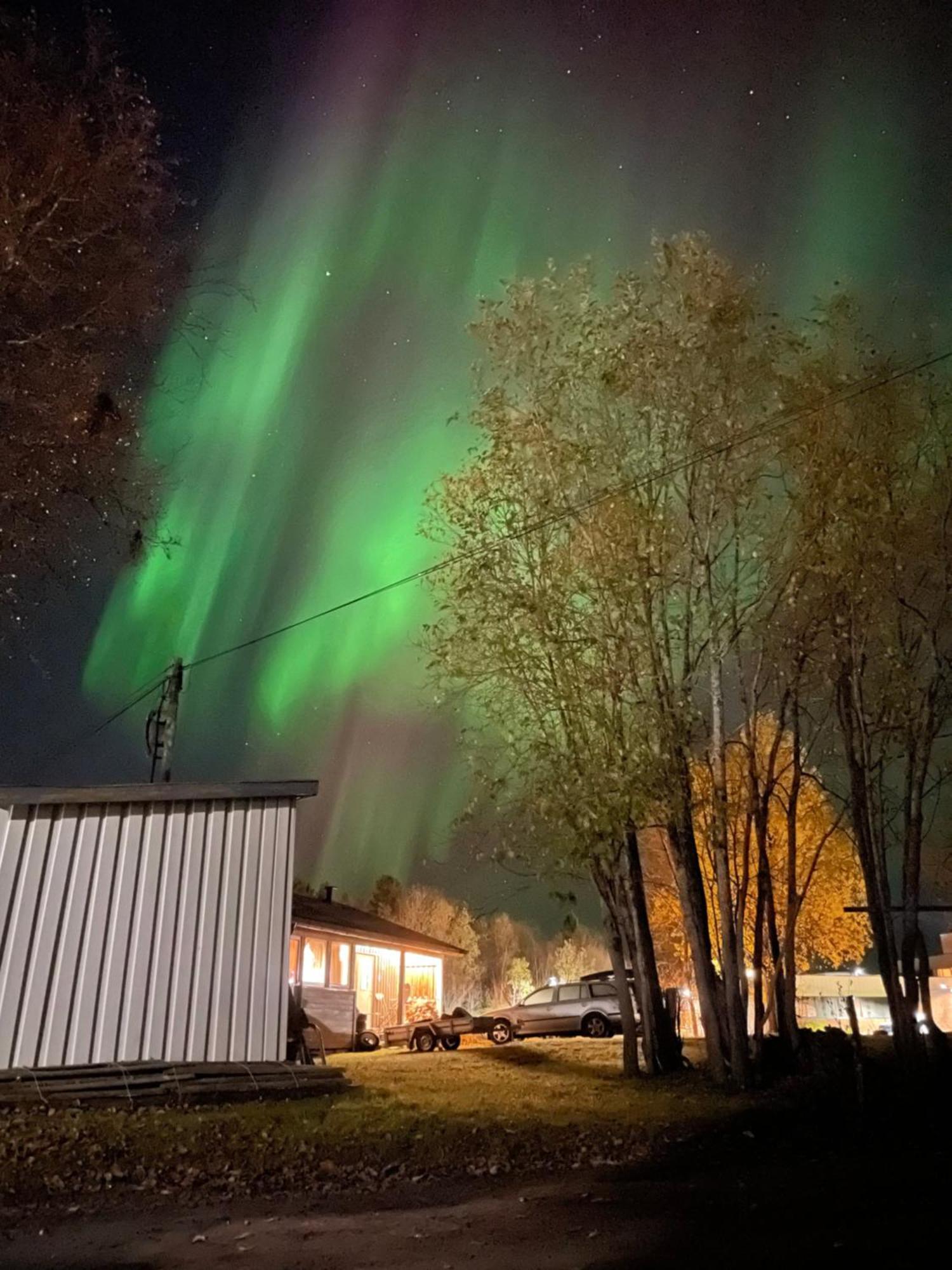 Sentral Og Romslig Naert Senja