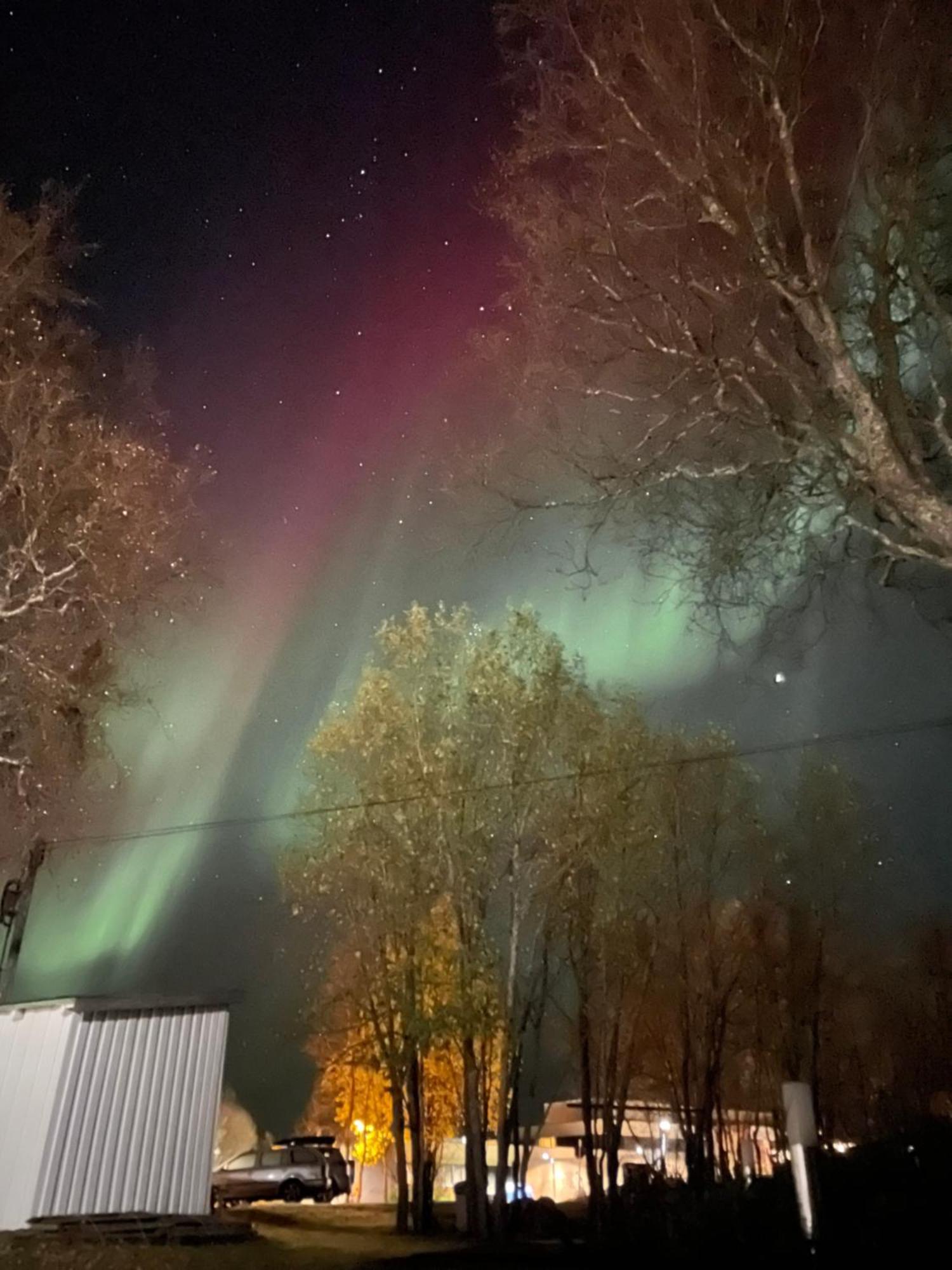 Sentral Og Romslig Naert Senja *